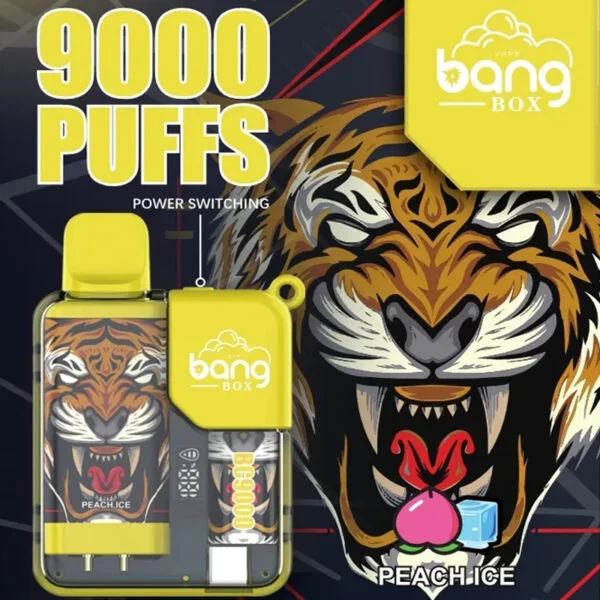 Bang Box 9000 Puffs 0% 2% 3% 5% Nicotine Rechargeable LED Pover Display Disposable Vape Wholesale - BookVape - 2