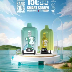 Venta al por mayor disponible recargable de Vape de la nicotina de Bang King smartscreen 15000 soplos 0% 2% 3% 5%