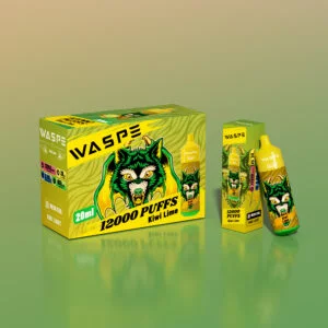 WASPE 12000 PUFFS 0% 2% 3% 5% Nicotine Disponibel Vape grossist - BookVape - 17