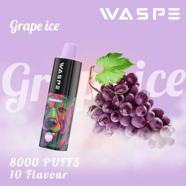 WASPE 8000 PUFFS 0% 2% 3% 5% Vente en gros de vape jetable à la nicotine - BookVape - 5