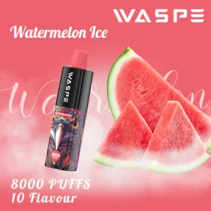 WASPE 8000 PUFFS 0% 2% 3% 5% Vente en gros de vape jetable à la nicotine - BookVape - 13