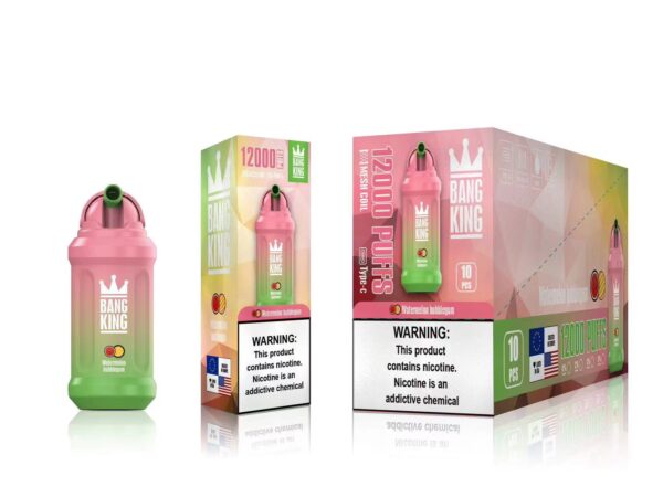 Bang King 12000 Puffs 0% 2% 3% 5% Vape monouso ricaricabile alla nicotina all'ingrosso - BookVape - 19