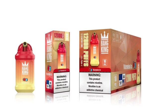 Bang King 12000 Puffs 0% 2% 3% 5% Vape monouso ricaricabile alla nicotina all'ingrosso - BookVape - 6